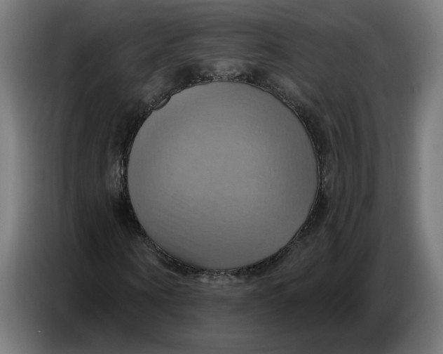 X0000086750866200705041425