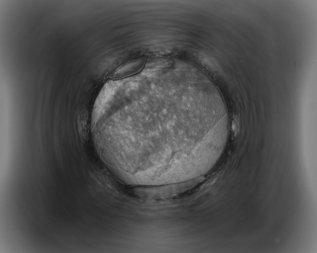 X0000086750867200705041425