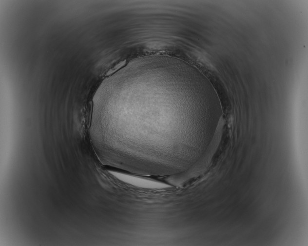 X0000086750868200705041425