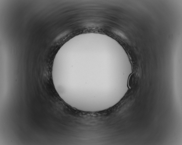 X0000086750869200705041425