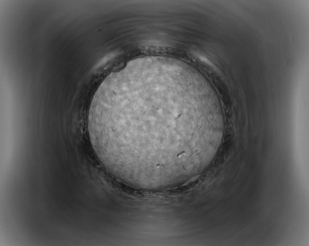 X0000086750870200705041425