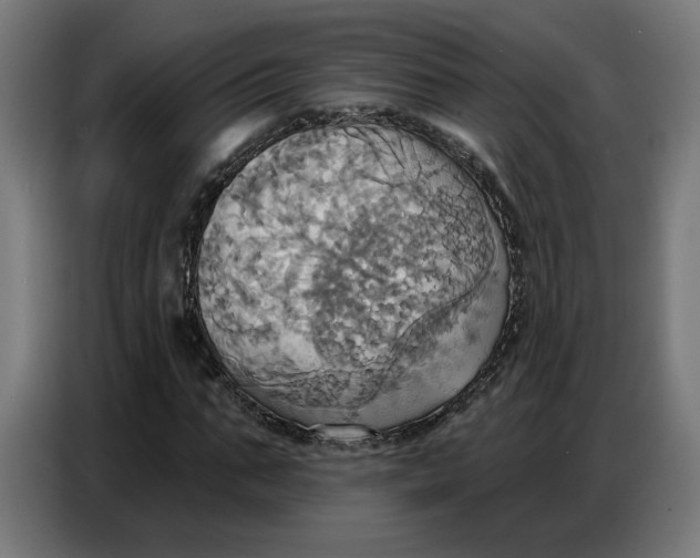 X0000086750871200705041425