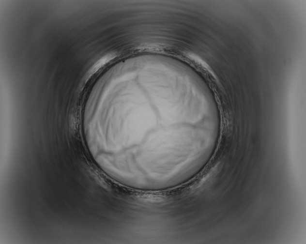 X0000086750874200705041425