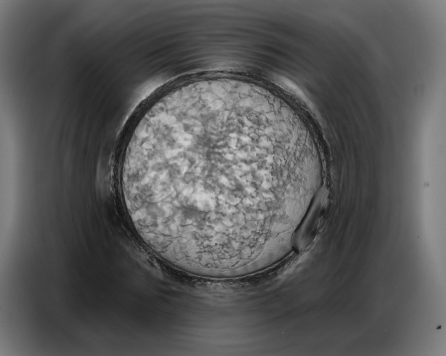 X0000086750875200705041425