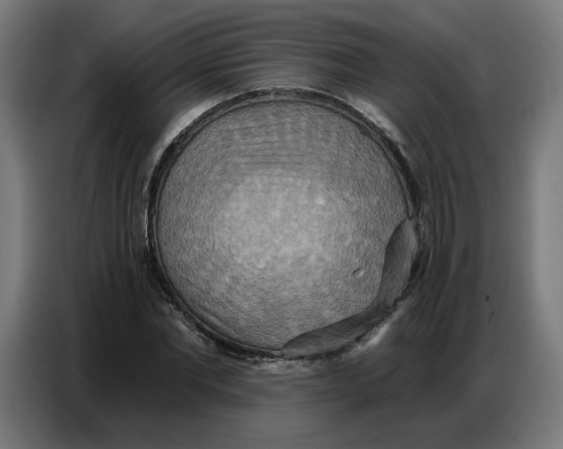 X0000086750877200705041425