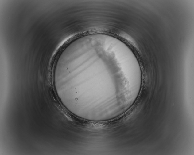 X0000086750878200705041425