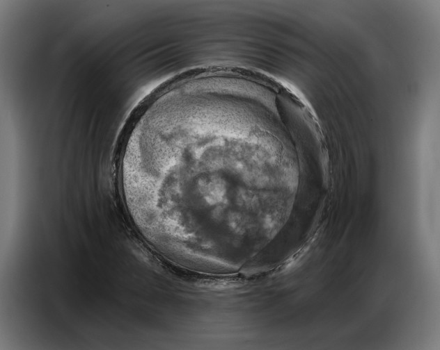 X0000086750879200705041425