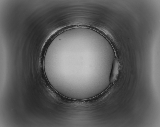 X0000086750880200705041425