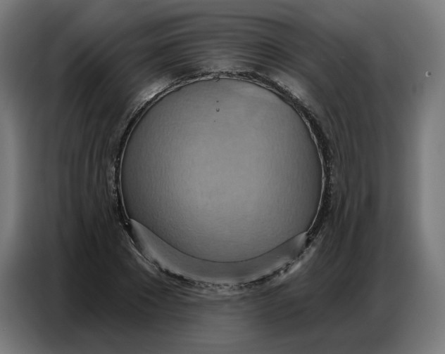 X0000086750881200705041425