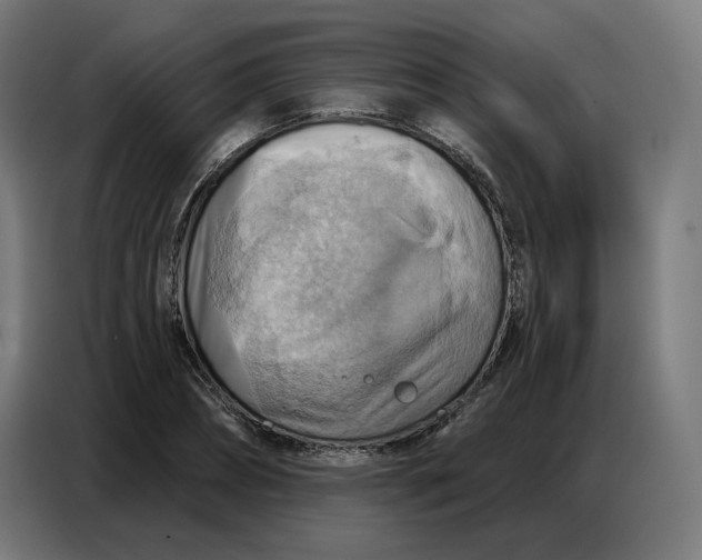 X0000086750882200705041425