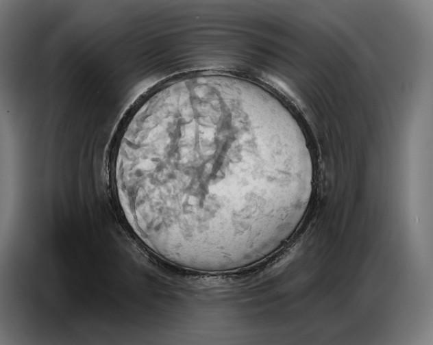 X0000086750883200705041425