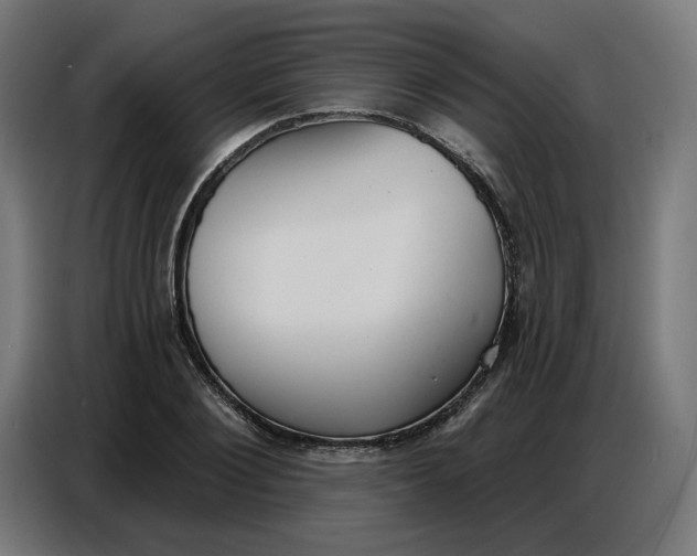 X0000086750884200705041425