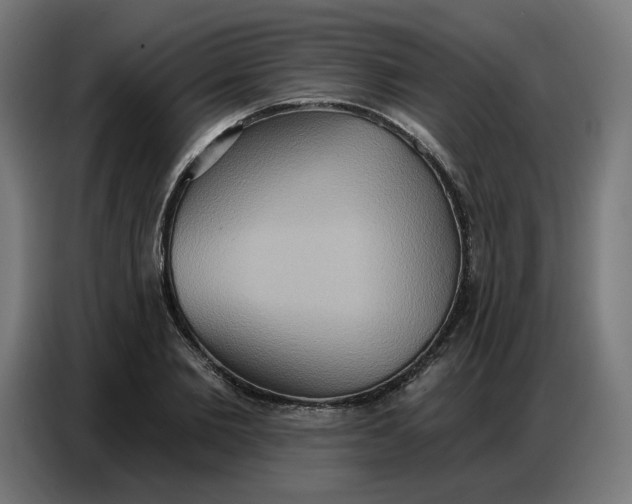 X0000086750885200705041425