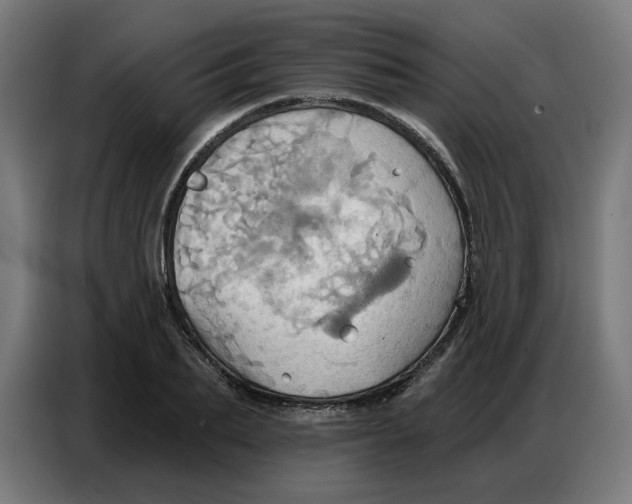 X0000086750887200705041425