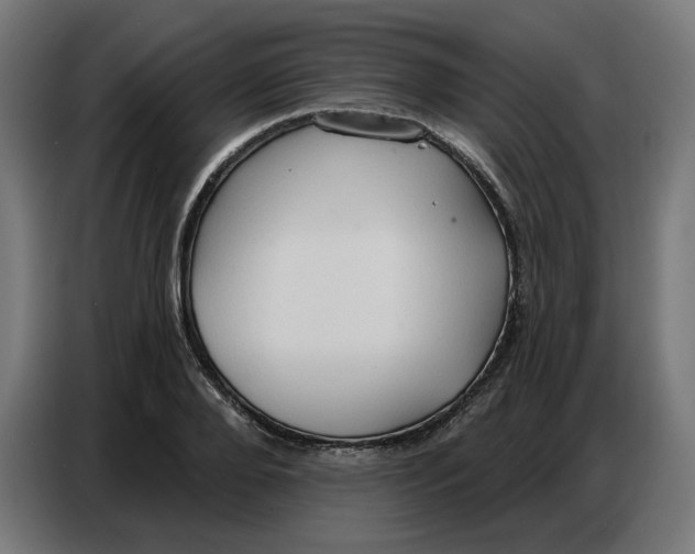 X0000086750888200705041425