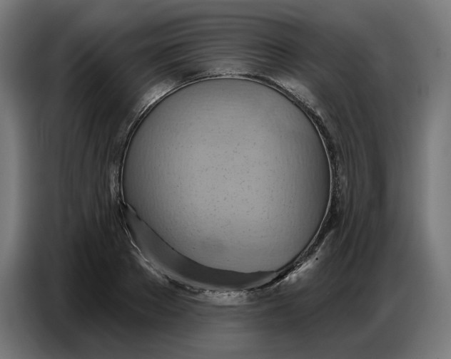 X0000086750889200705041425