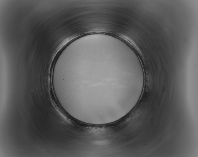 X0000086750890200705041425