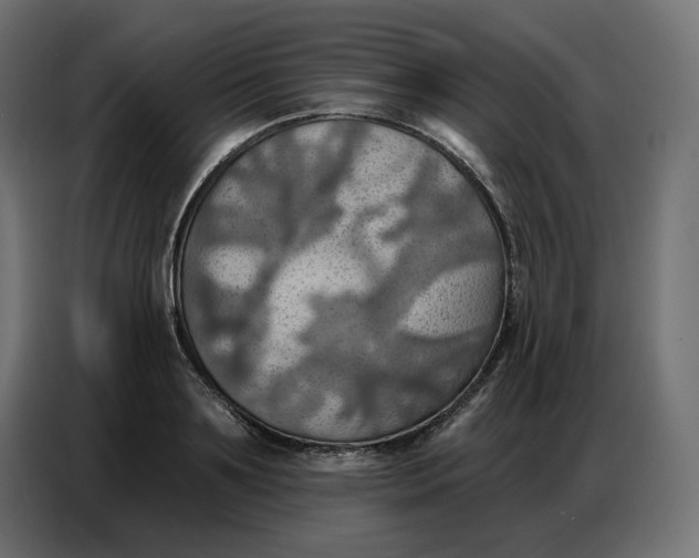 X0000086750891200705041425