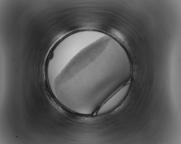 X0000086750892200705041425