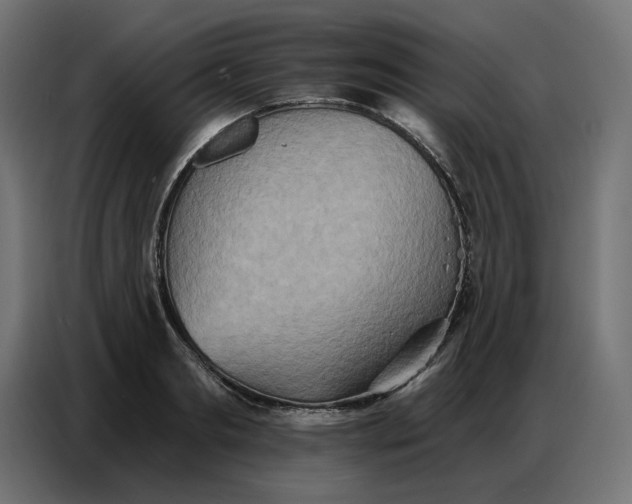 X0000086750893200705041425