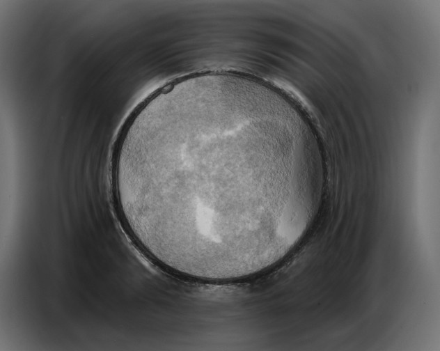 X0000086750894200705041425