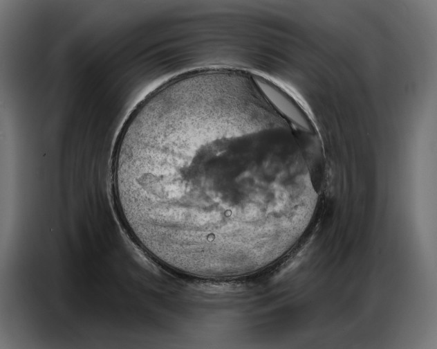 X0000086750895200705041425