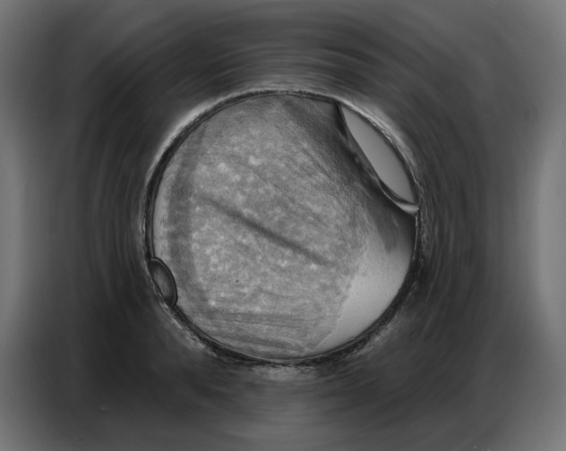 X0000086750896200705041425