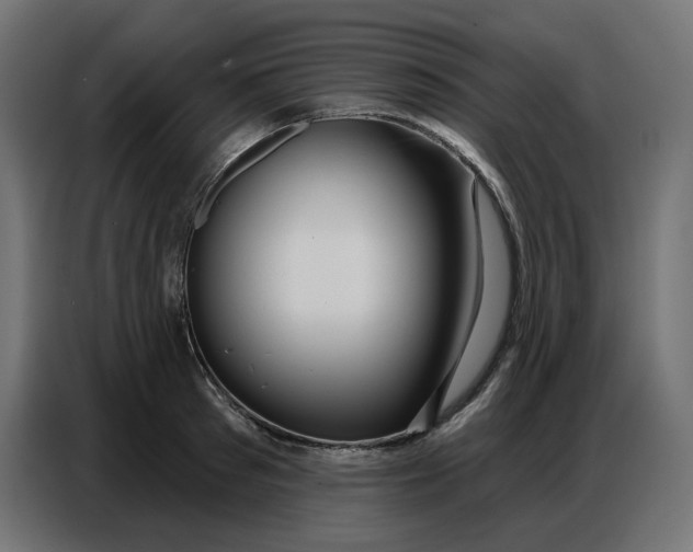 X0000086750897200705041425