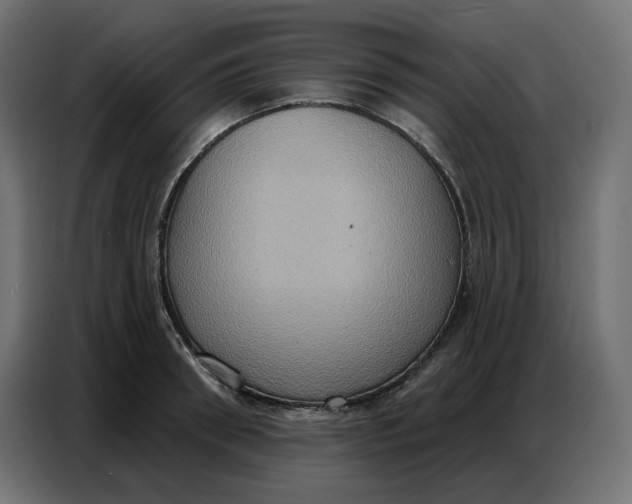 X0000086750898200705041425