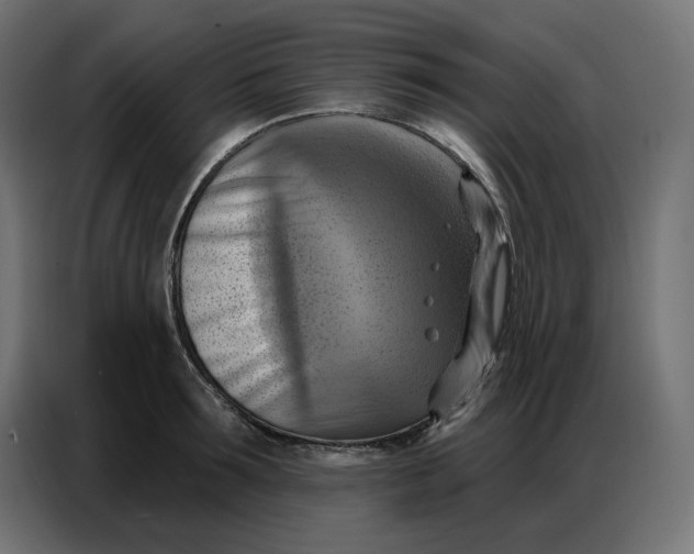 X0000086750899200705041425