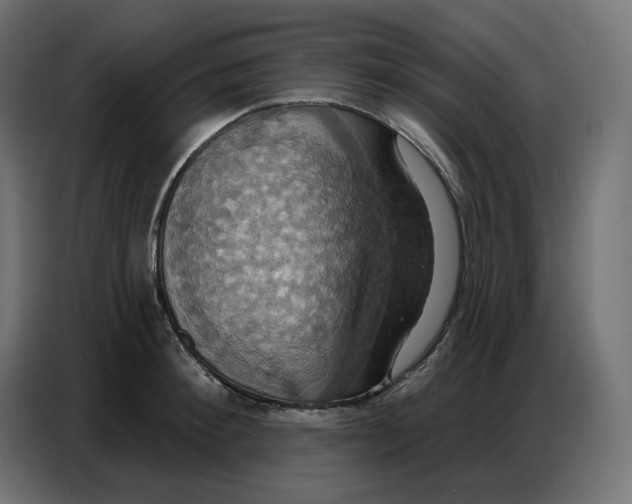 X0000086750900200705041425