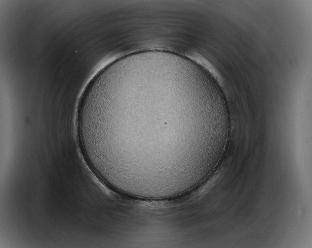 X0000086750902200705041425