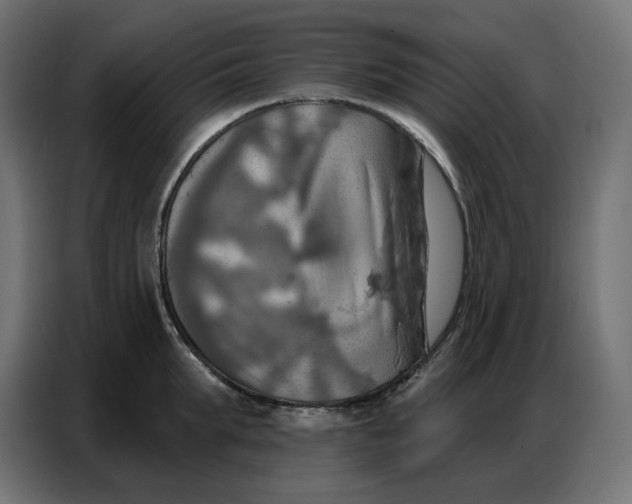 X0000086750903200705041425