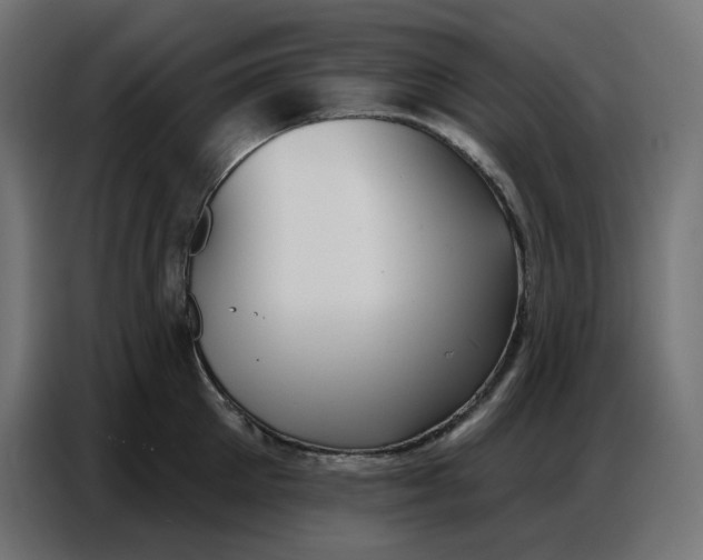 X0000086750905200705041425