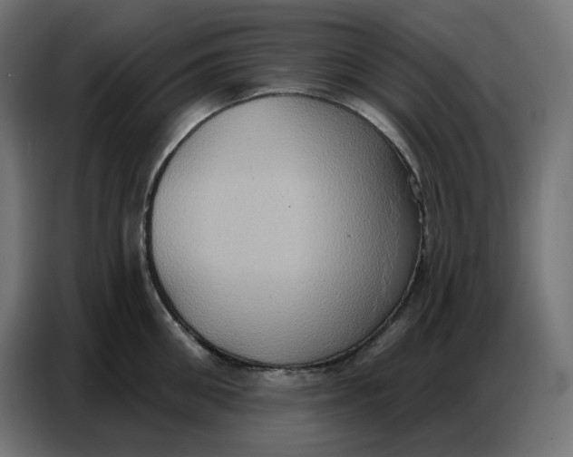 X0000086750906200705041425