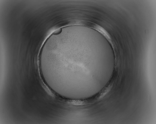 X0000086750907200705041425