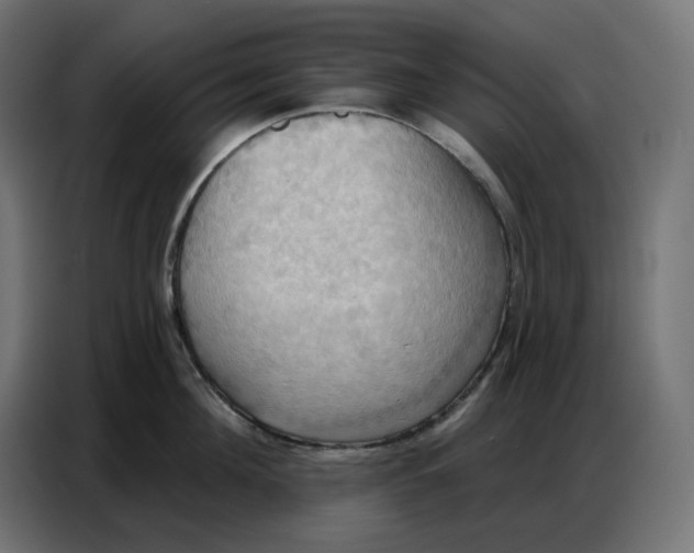 X0000086750908200705041425