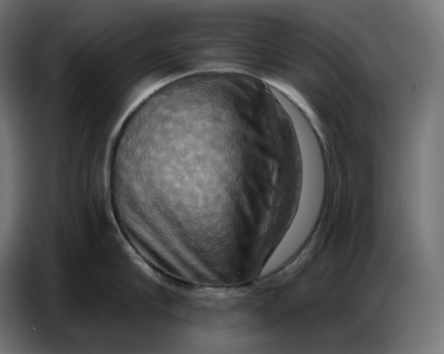 X0000086750910200705041425