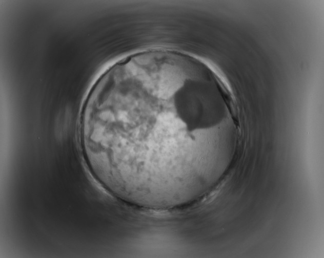 X0000086750911200705041425