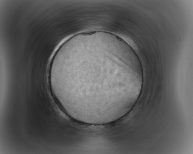 X0000086750912200705041425