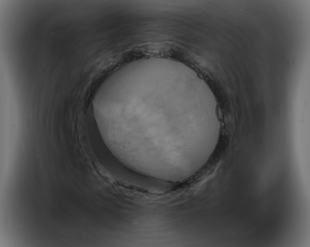 X0000086750913200705041424