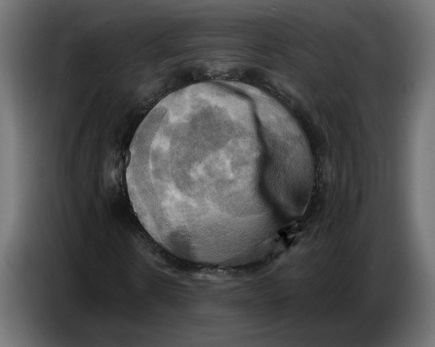 X0000086750914200705041424