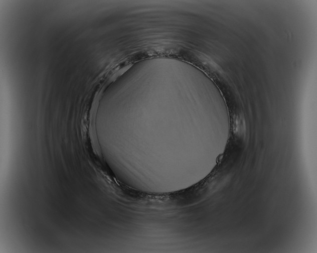 X0000086750915200705041424