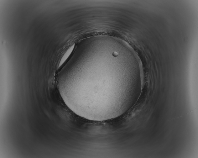 X0000086750916200705041424