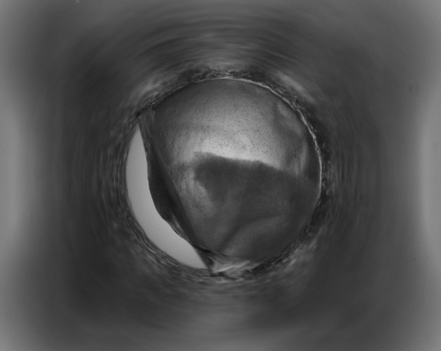 X0000086750917200705041424