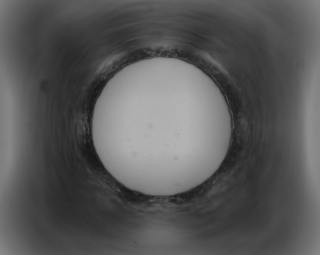 X0000086750918200705041424