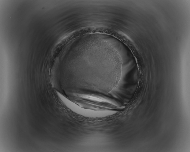 X0000086750919200705041424