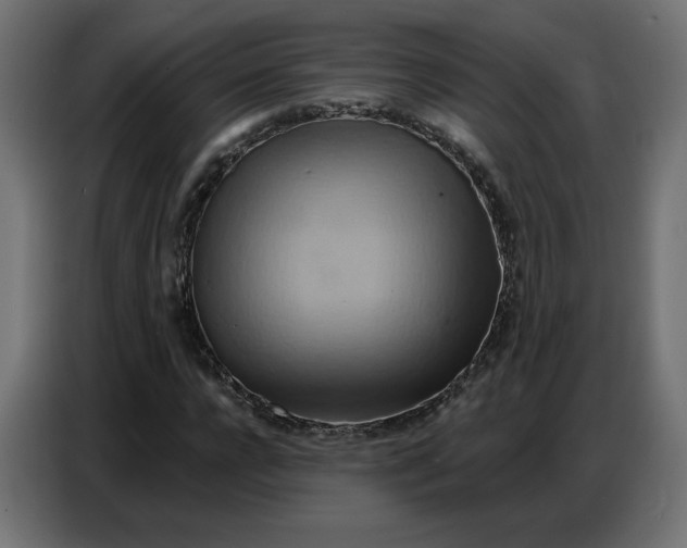 X0000086750920200705041424