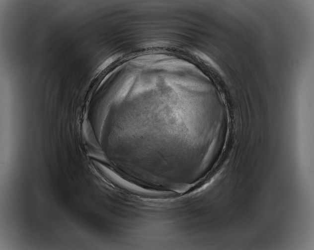 X0000086750921200705041424