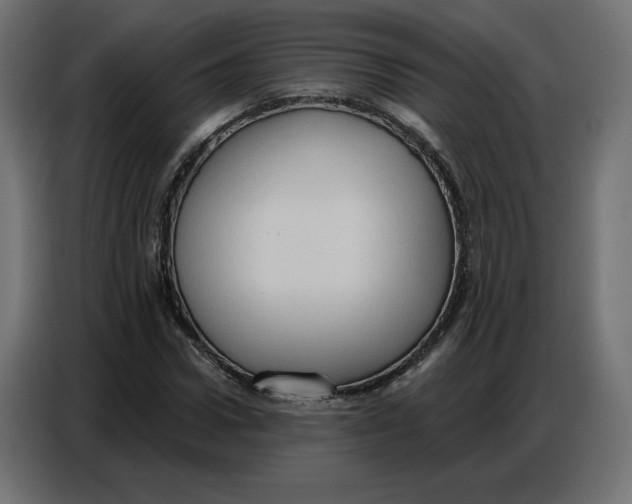 X0000086750922200705041424